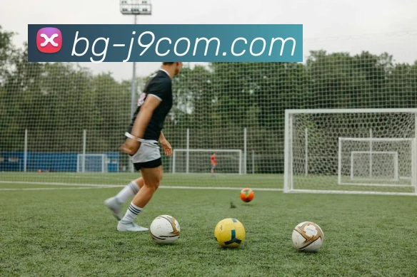 App Interface Preview