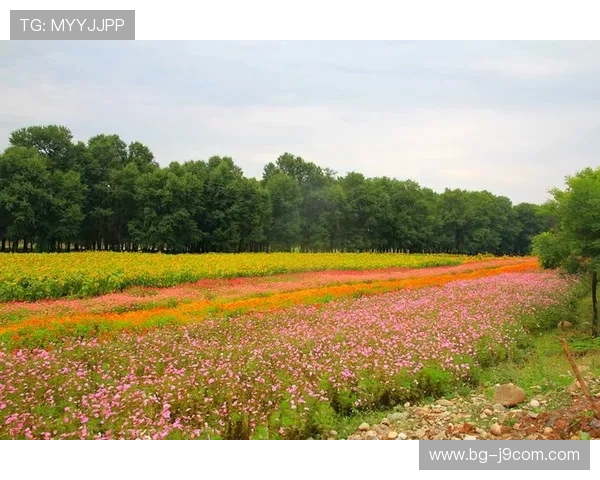 甘南足球与临夏激情对决掀起西北绿茵盛宴新篇章激荡赛场热潮风起